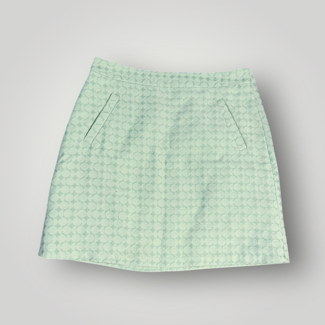 The Limited Skirt Size 4
