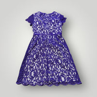 Adrianna Papell Lace Overlay Dress Size 2