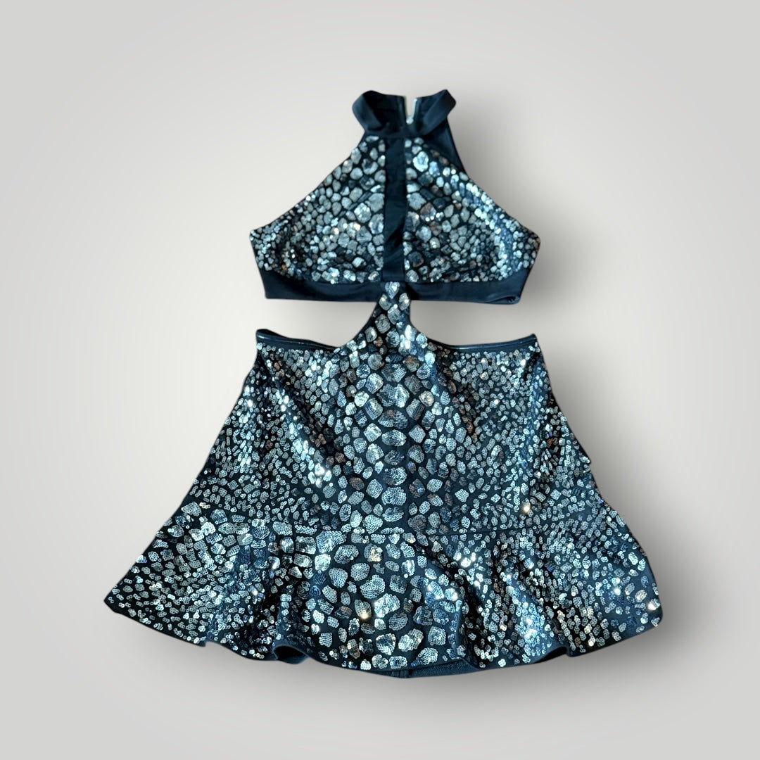 Express Metallic Sequin Dress Size Medium