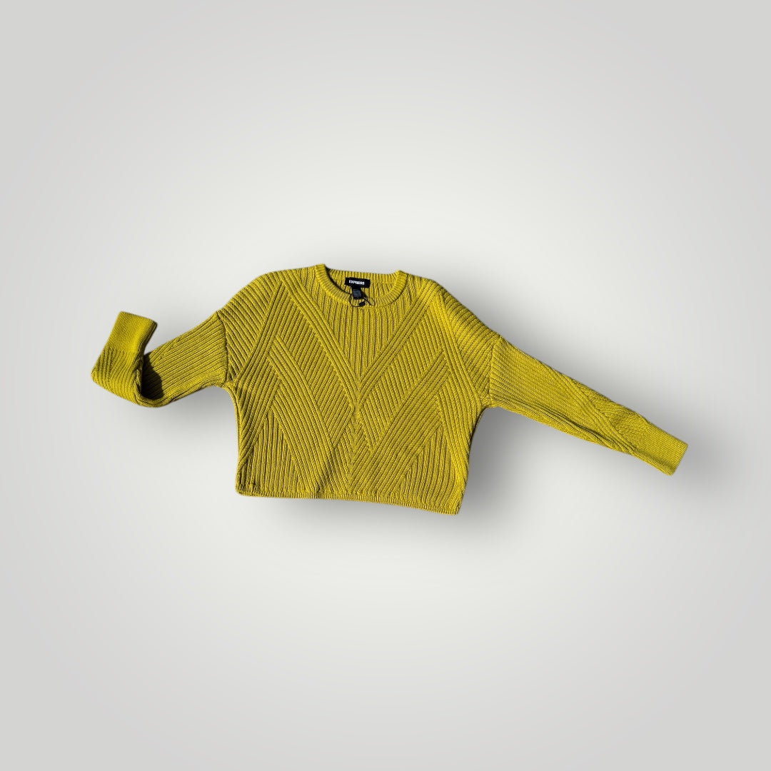 Express Sweater Size XS