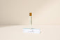 Coast & Salt Perfume Roller-Salt